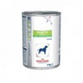 Royal canin diabetic special low carbohydrate dieta para perros